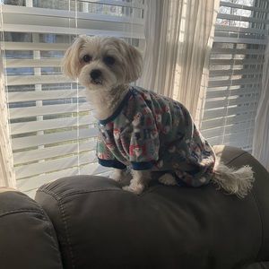 Meet your Posher, Tracy